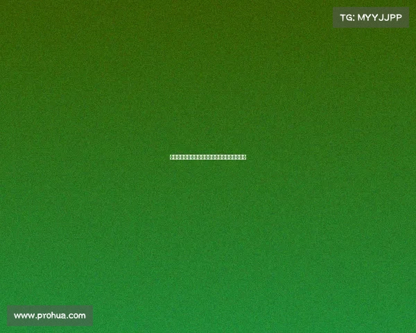 德甲赛季精华回顾：精彩进球与战术分析全面盘点